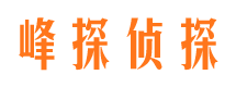 宝山市私家侦探